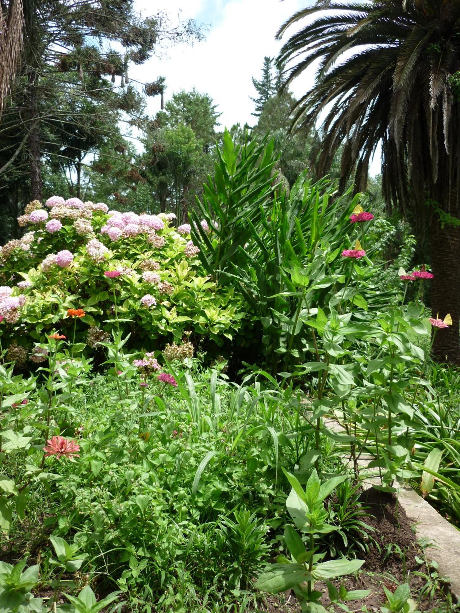 Finca La Colorada San Salvador de Jujuy Habitación foto